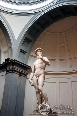 Miva Stock_1568- Italy, Florence, David, by Michelangelo