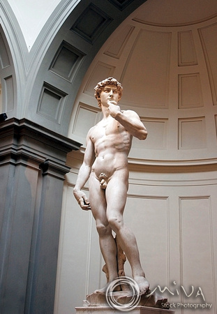 Miva Stock_1569 - Italy, Florence, David, by Michelangelo
