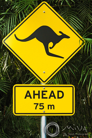 Miva Stock_3356 - Australia, Queensland, Noosa, Kangaroo sign