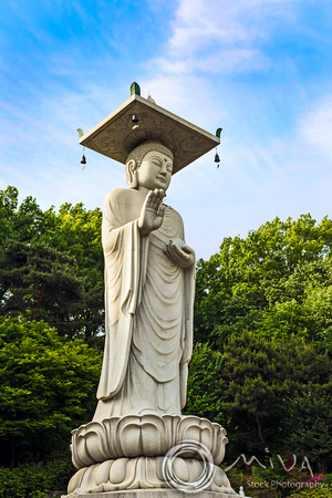 Miva Stock_3656 South Korea, Seoul, Buddha at Bongeunsa Temple