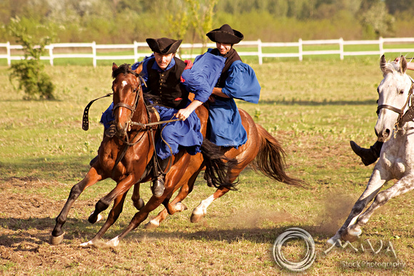 Miva Stock_1332 - Hungary, Kalocsa, Csikos Hungarian horse riders