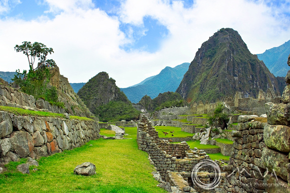 Miva Stock_1361 - Peru, Machu Picchu, Sacred Valley, llamas