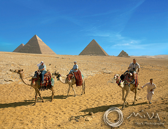 Miva Stock_1403 - Egypt, Cairo, Giza, Tourists, camels