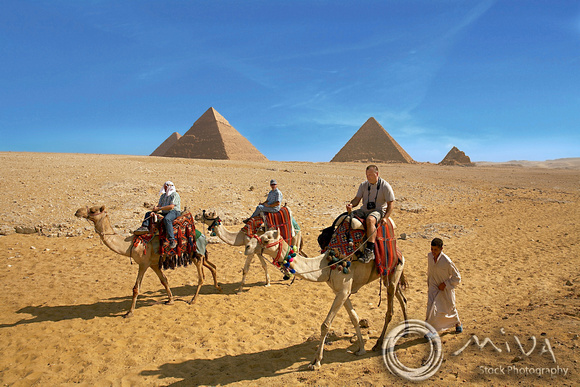 Miva Stock_1404 - Egypt, Cairo, Giza, Tourists, camels