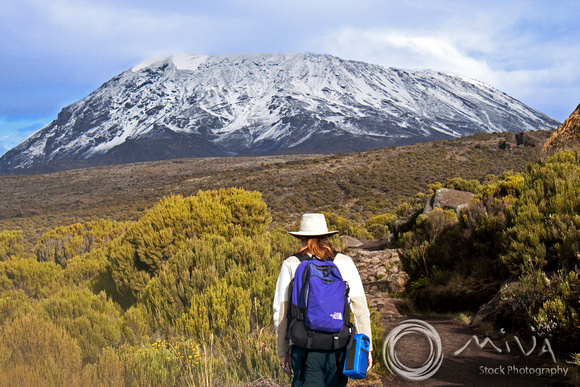 Miva Stock_1484 - Tanzania, Mt. Kilimanjaro, hiking Marangu