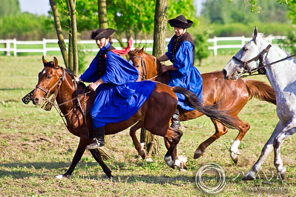 Miva Stock_1511 - Hungary, Kalocsa, Csikos horse riders