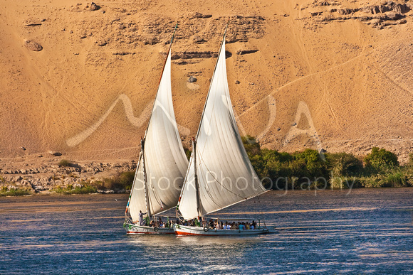 Miva Stock_1730 - Egypt, Aswan, Nile River, Felucca sailboats
