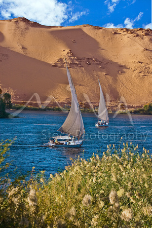 Miva Stock_1733 - Egypt, Aswan, Nile River, Felucca sailboats