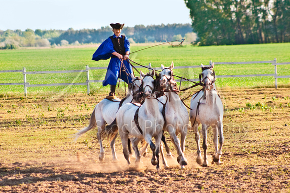 Miva Stock_1801 - Hungary, Kalocsa, Csikos, horse riders