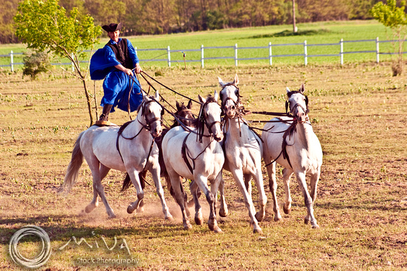 Miva Stock_1802 - Hungary, Kalocsa, Csikos, horse riders