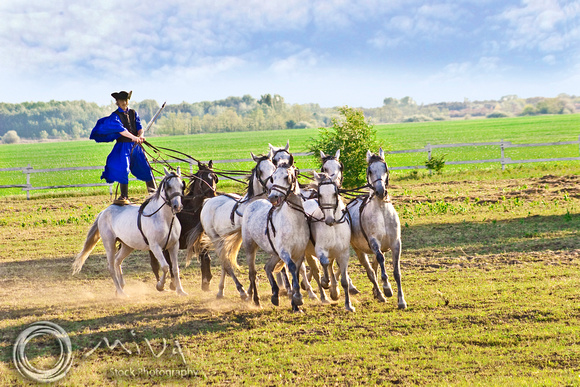 Miva Stock_1806 - Hungary, Kalocsa, Csikos, horse riders
