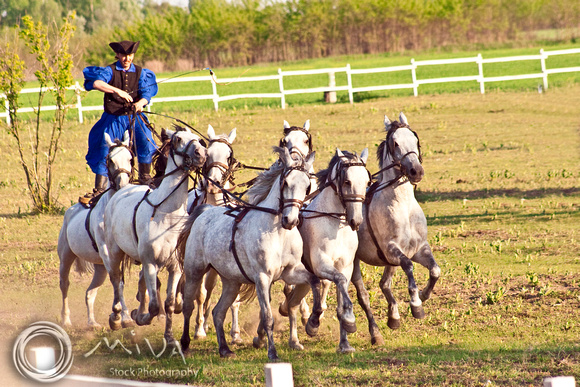 Miva Stock_1808 - Hungary, Kalocsa, Csikos, horse riders