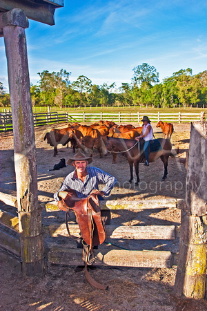 Miva Stock_1824 - Australia, Queensland, cattle ranchers