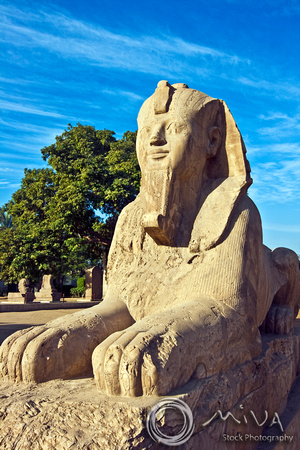 Miva Stock_1961 - Egypt, Memphis, Alabaster Sphinx