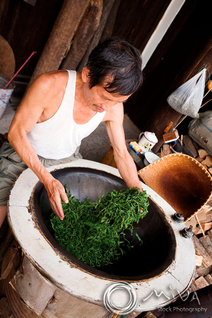 Miva Stock_2347 - China, Hangzhou, Tea Plantation, drying