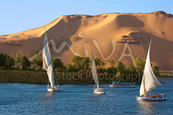 Miva Stock_2372 - Egypt, Aswan, Nile River, Felucca sailboats