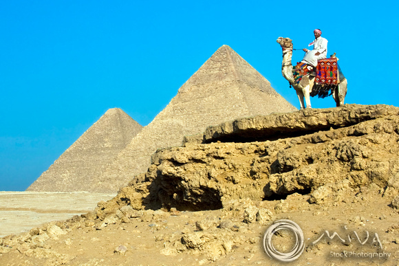 Miva Stock_2384 - Egypt, Cairo, Giza, man, camel, Pyramids