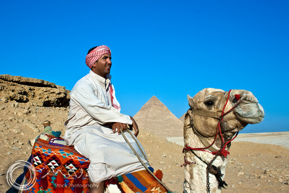 Miva Stock_2387 - Egypt, Cairo, Giza, man, camel, Pyramids