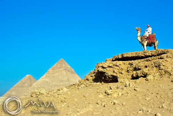 Miva Stock_2444 - Egypt, Cairo, Giza, man, camel, Pyramids