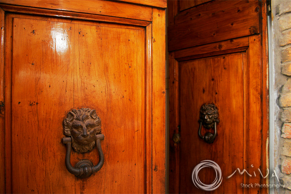 Miva Stock_2465 - Italy, Florence, wooden door, knocker