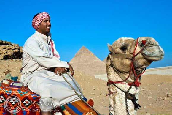 Miva Stock_2491 - Egypt, Cairo, Giza, man, camel, Pyramids