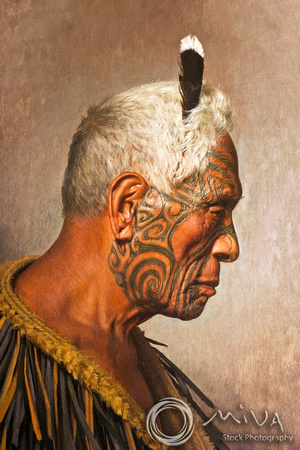 Miva Stock_2519- New Zealand, Auckland, Maori Warrior