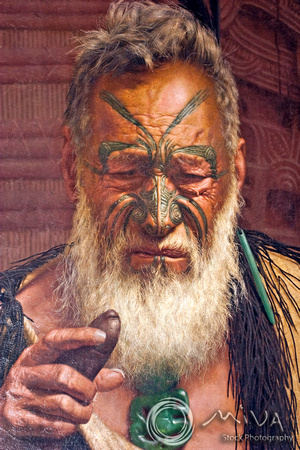 Miva Stock_2520- New Zealand, Auckland, Maori Warrior