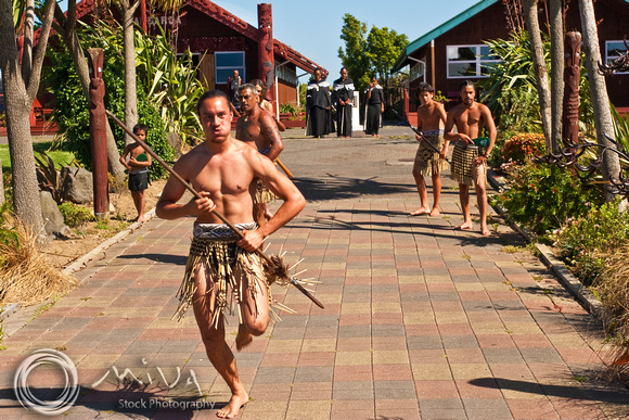 Miva Stock_2526 - New Zealand, Rotorua, Maori Warriors