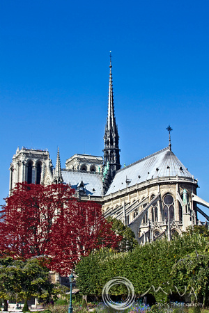 Miva Stock_2634 - France, Paris, Notre Dame Cathedral