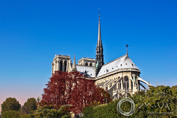 Miva Stock_2635 - France, Paris, Notre Dame Cathedral