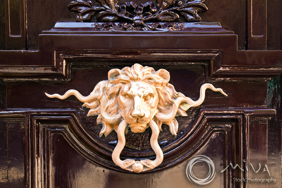 Miva Stock_2652 - France, Paris, Lion Door Knocker