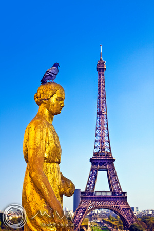 Miva Stock_2662 - France, Paris, Eiffel Tower, Palais de Chaillot
