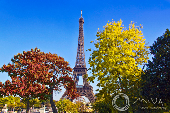 Miva Stock_2666 - France, Paris, Eiffel Tower, Autumn