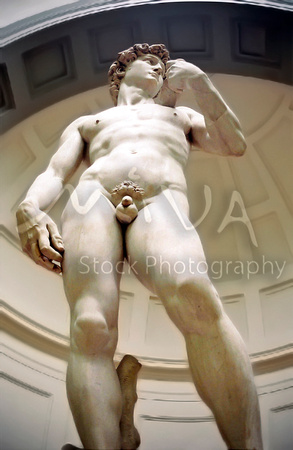 Miva Stock_2840 - Italy, Florence, David, by Michelangelo