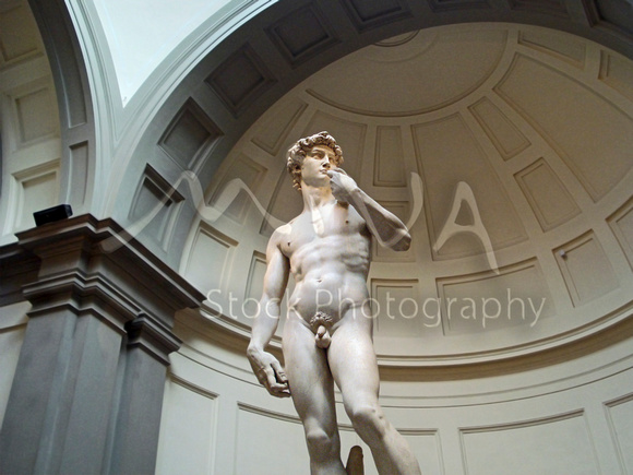 Miva Stock_2842 - Italy, Florence, David, by Michelangelo