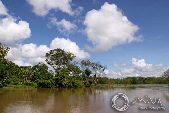 Miva Stock_3065 - Brazil, Amazon River and jungle