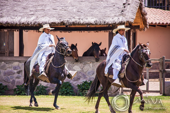 Miva Stock_3174 - Peru, Sacred Valley, horse show
