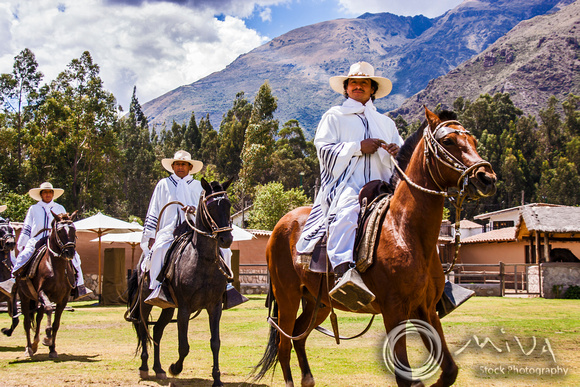 Miva Stock_3175 - Peru, Sacred Valley, horse show