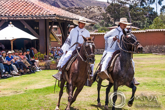 Miva Stock_3176 - Peru, Sacred Valley, horse show