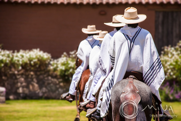 Miva Stock_3177 - Peru, Sacred Valley, horse show