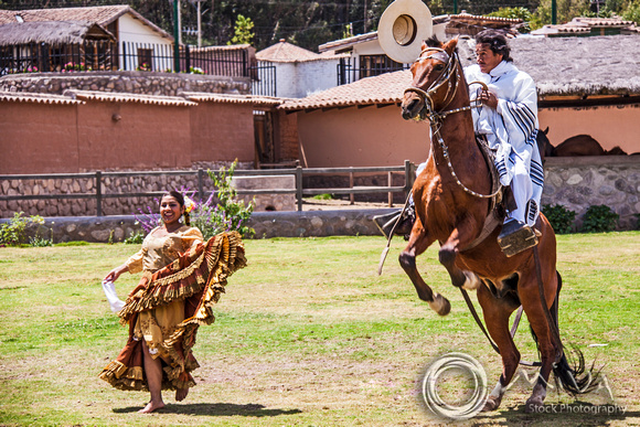 Miva Stock_3179 - Peru, Sacred Valley, horse show