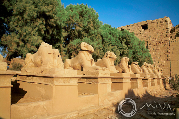 Miva Stock_0820 - Egypt, Luxor, Avenue of Sphinxes, Karnak