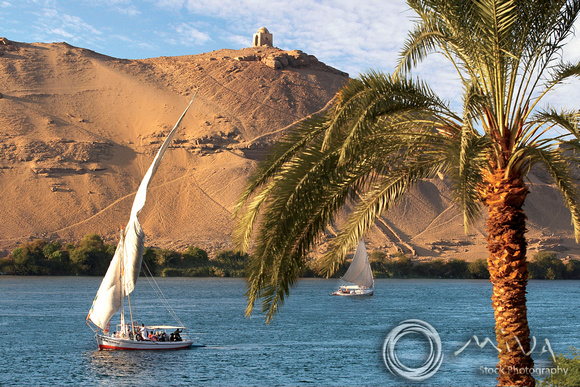 Miva Stock_0828 - Egypt, Aswan, Nile River, Felucca sailboats