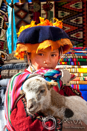 Miva Stock_0911 - Peru, Pisac, girl, lamb at market