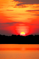 Miva Stock_0986 - Brazil, Amazon Jungle, sunset