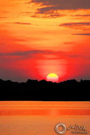 Miva Stock_0986 - Brazil, Amazon Jungle, sunset