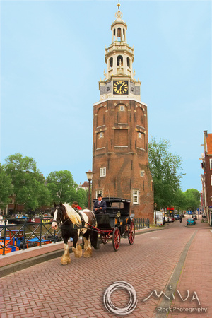 Miva Stock_0992 - Netherlands, Amsterdam, Horse, canal
