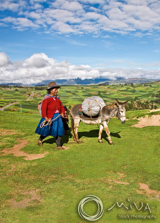 Miva Stock_1009 -  - Peru, Cusco, woman, mule