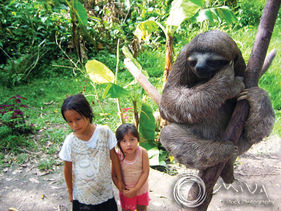 Miva Stock_1043 - Brazil, Amazon, Sloth, girls