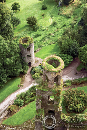 Miva Stock_1150 - Ireland, County Cork, Blarney Castle